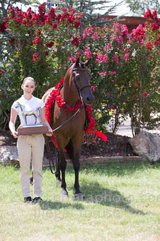 Proof Number 17YN_2703