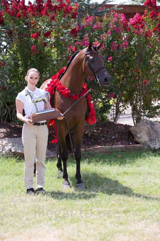 Proof Number 17YN_2707