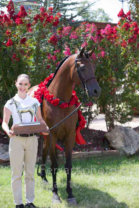 Proof Number 17YN_2714