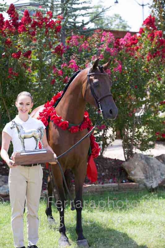 Proof Number 17YN_2715