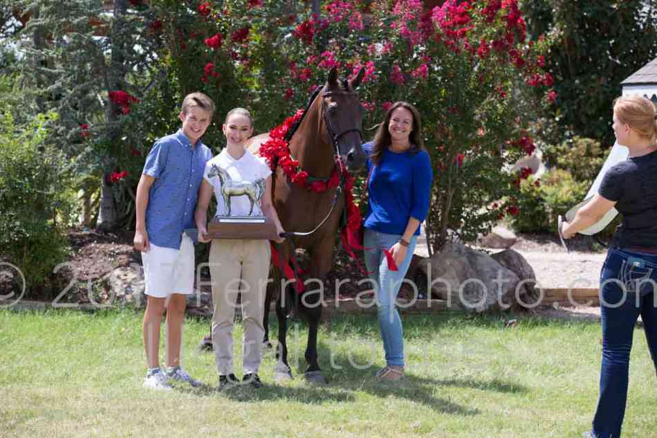 Proof Number 17YN_2717