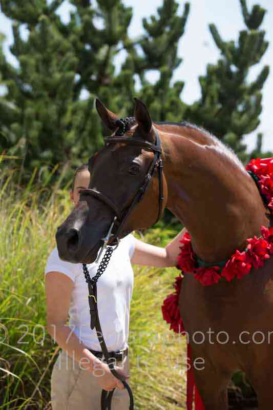 Proof Number 17YN_2749