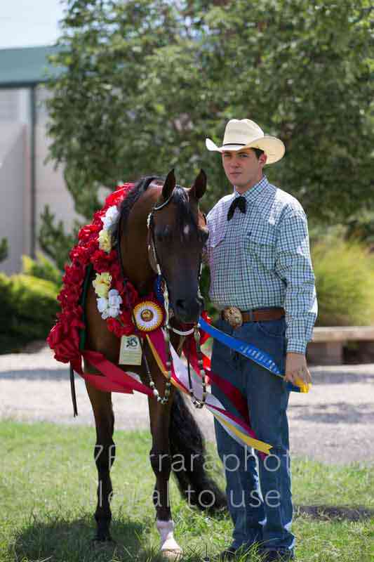 Proof Number 17YN_2762