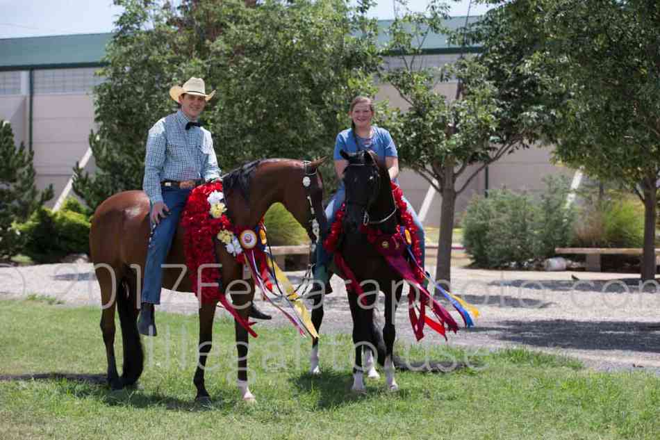 Proof Number 17YN_2795