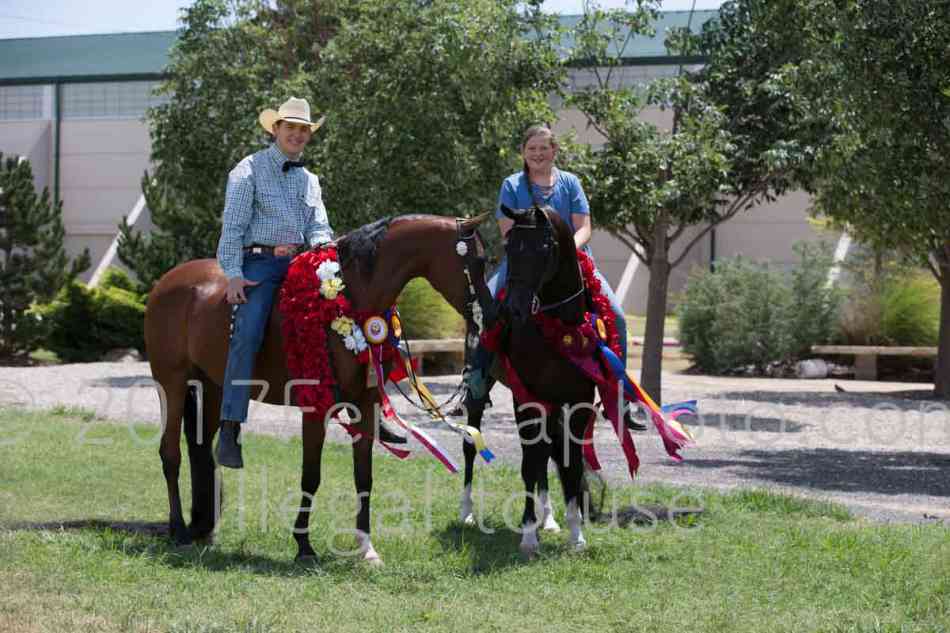 Proof Number 17YN_2797