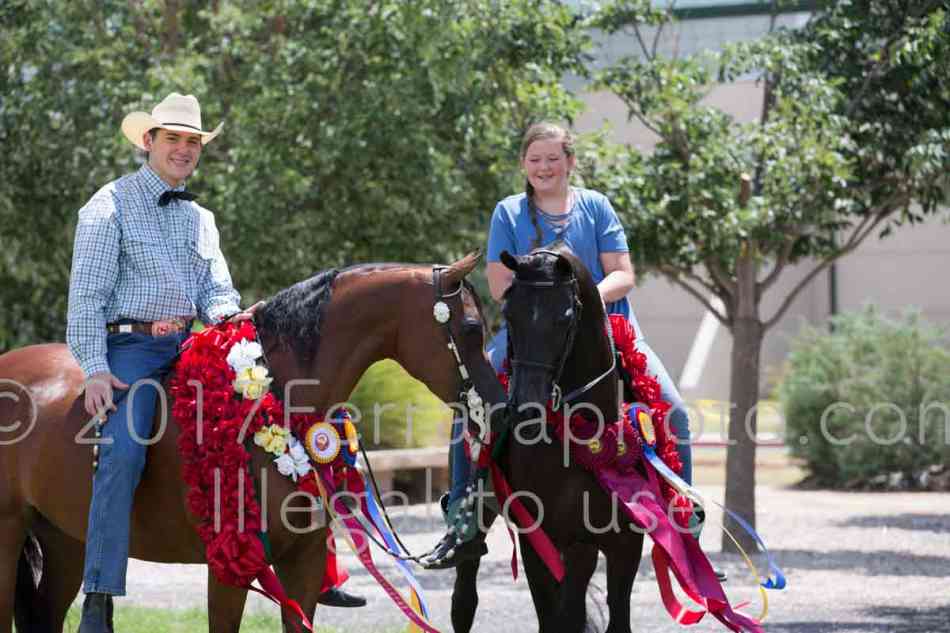 Proof Number 17YN_2799