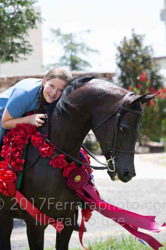 Proof Number 17YN_2812