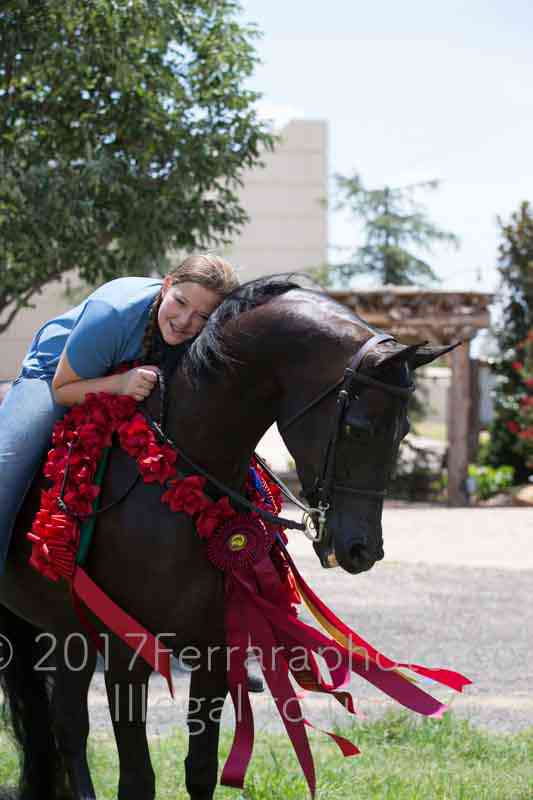 Proof Number 17YN_2814