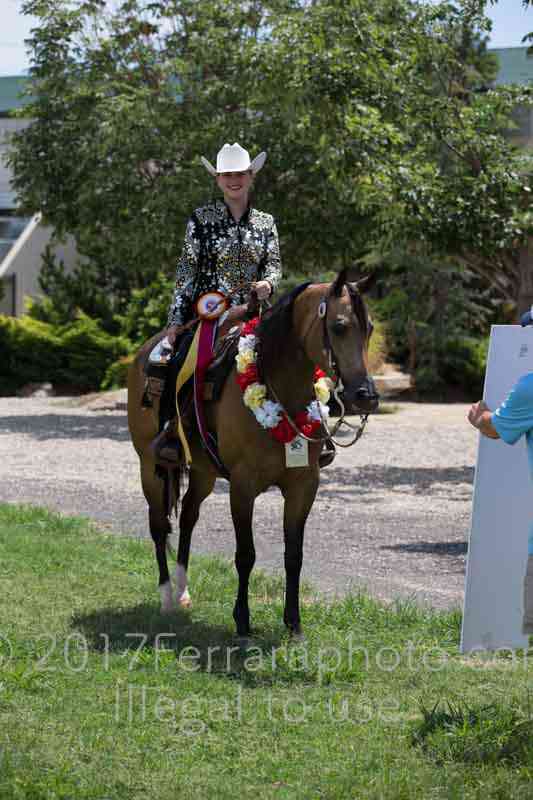 Proof Number 17YN_2855