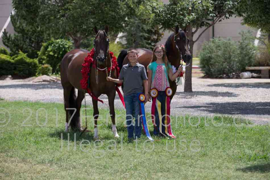 Proof Number 17YN_2866