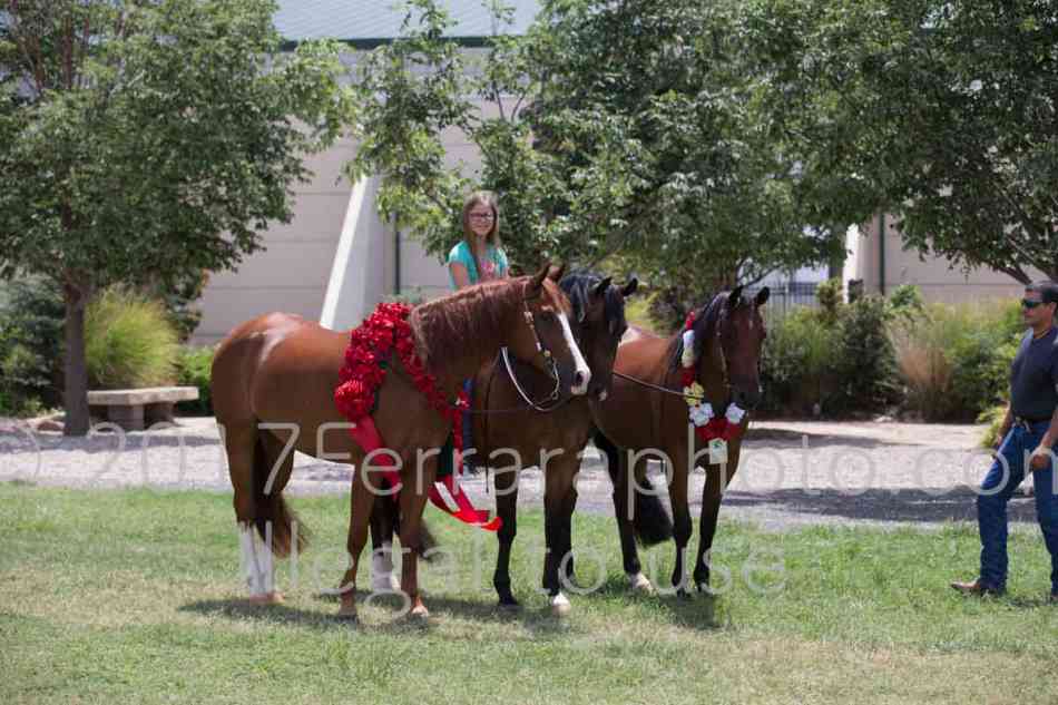 Proof Number 17YN_2880