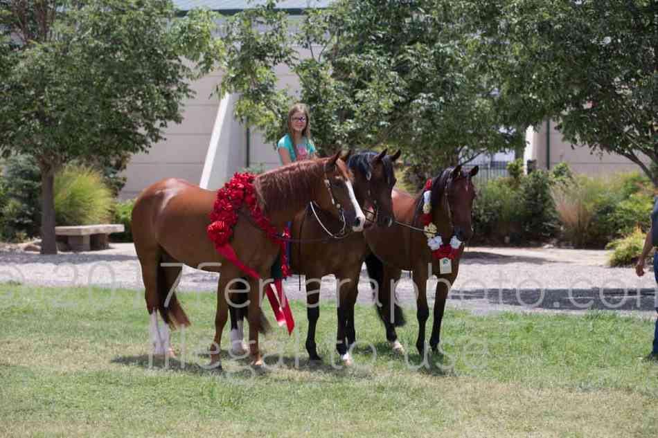 Proof Number 17YN_2881