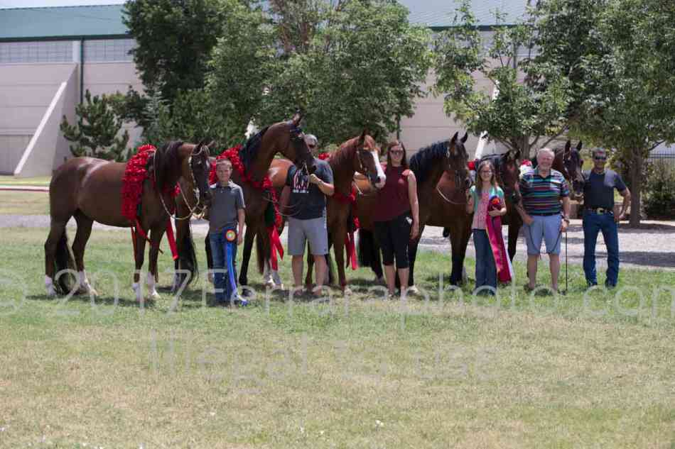 Proof Number 17YN_2920