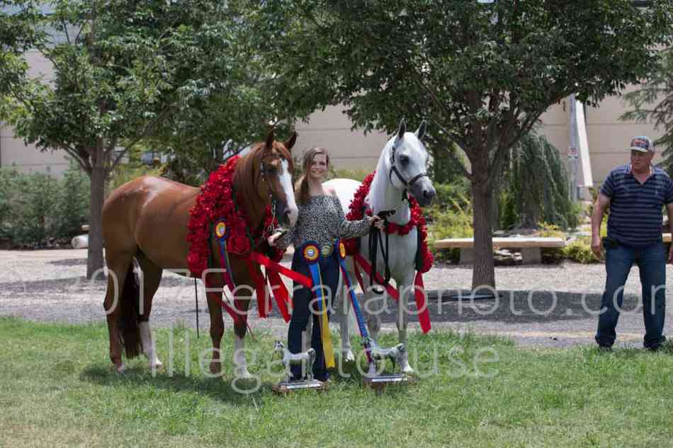 Proof Number 17YN_3034