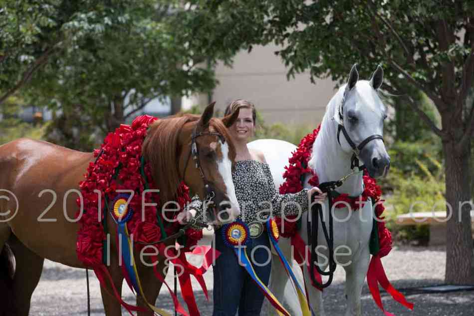 Proof Number 17YN_3041