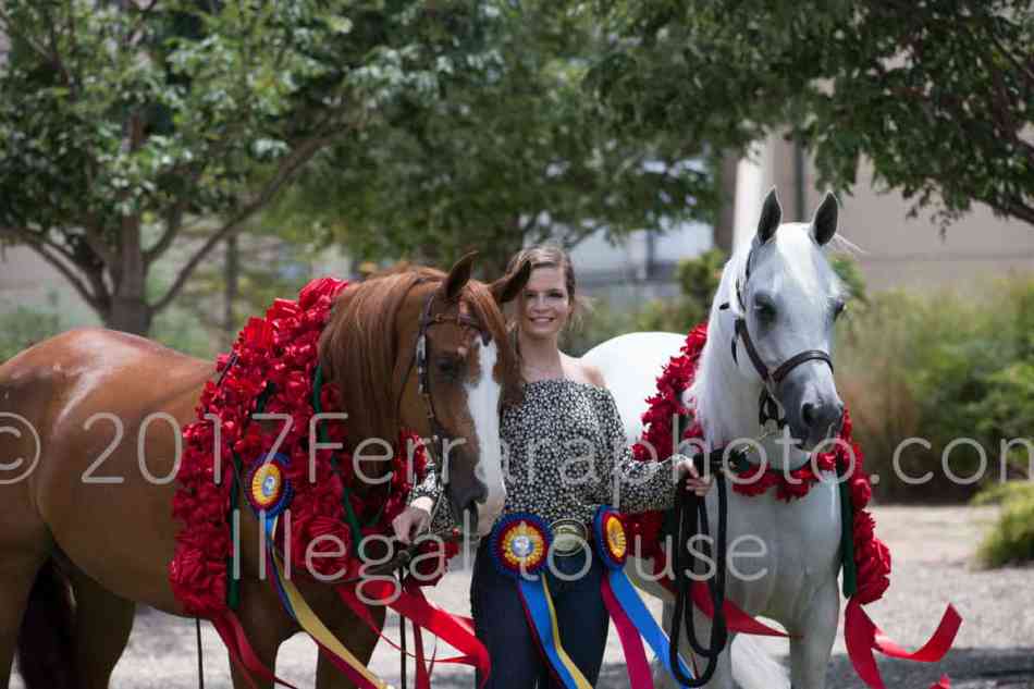 Proof Number 17YN_3044