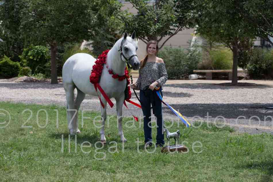 Proof Number 17YN_3052