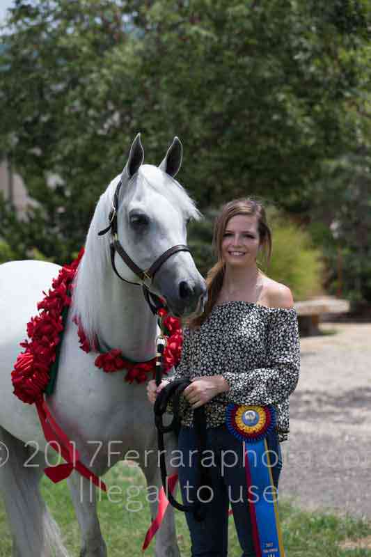 Proof Number 17YN_3063