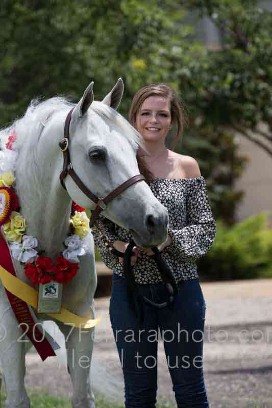 Proof Number 17YN_3075