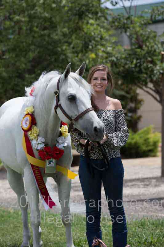 Proof Number 17YN_3076