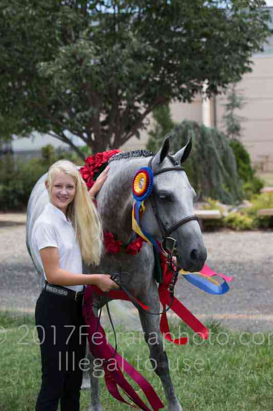 Proof Number 17YN_3104