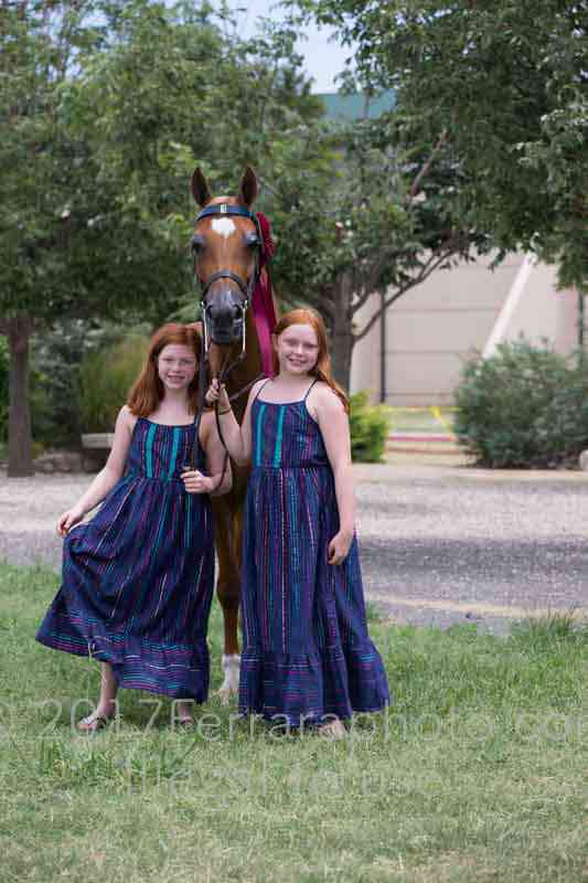 Proof Number 17YN_3126