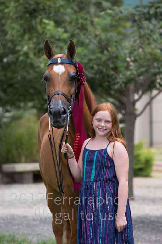 Proof Number 17YN_3131