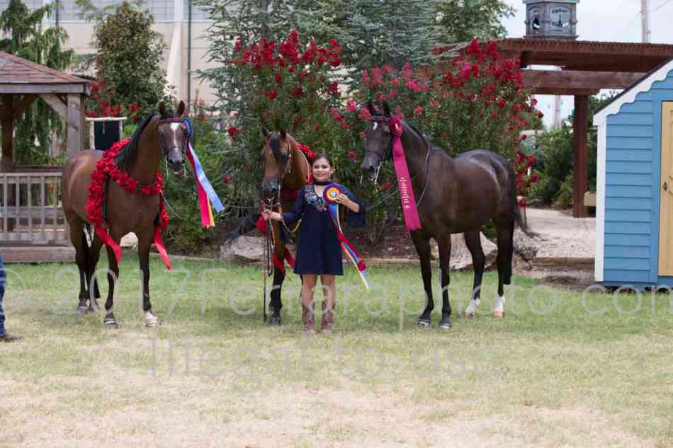 Proof Number 17YN_3193