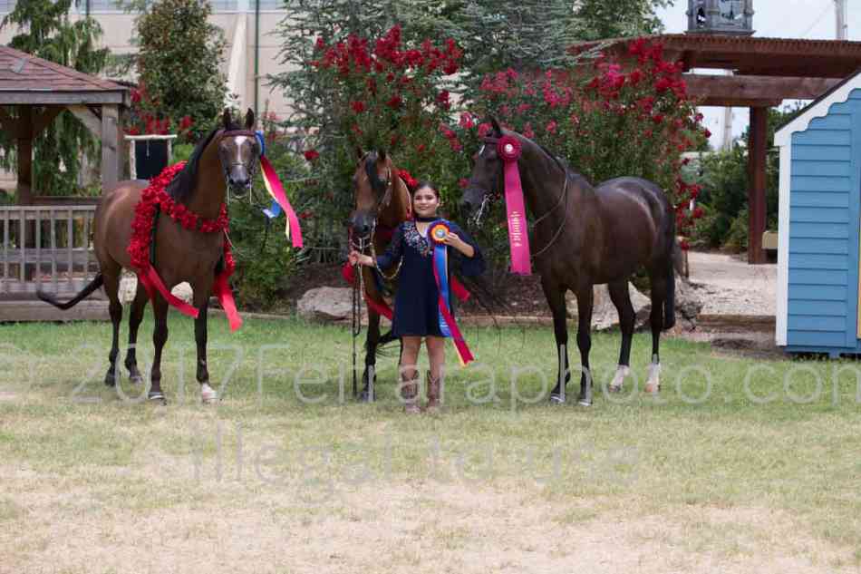 Proof Number 17YN_3197