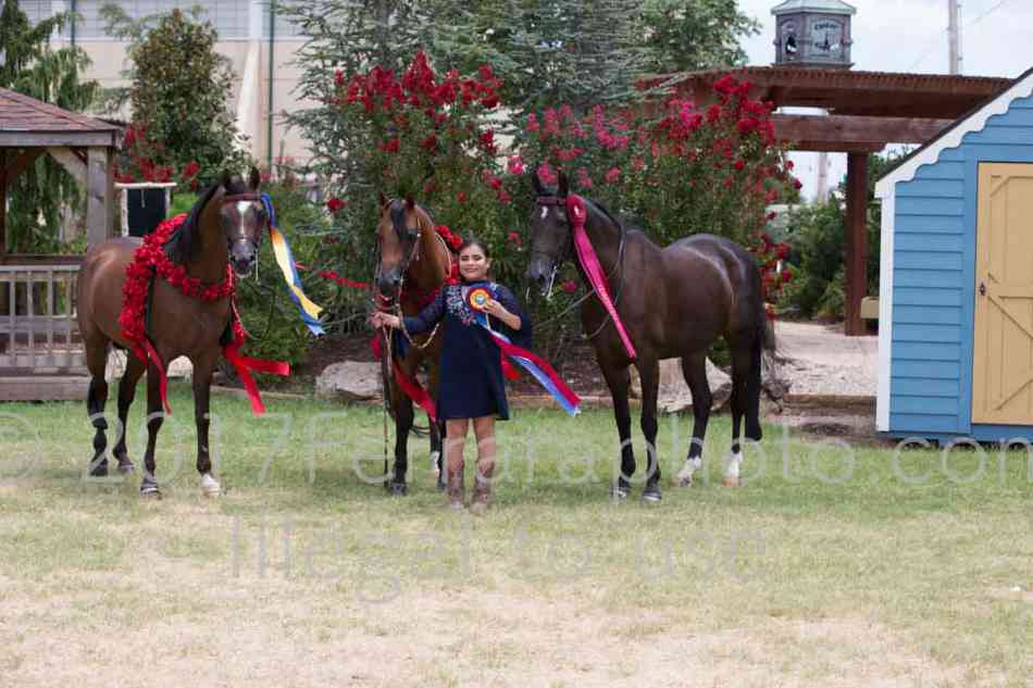 Proof Number 17YN_3215