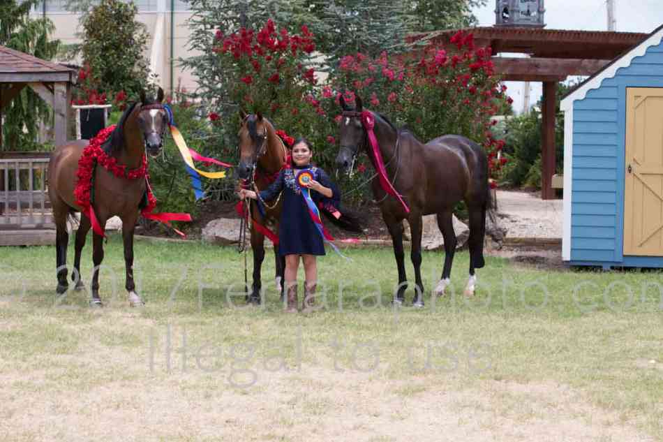 Proof Number 17YN_3217