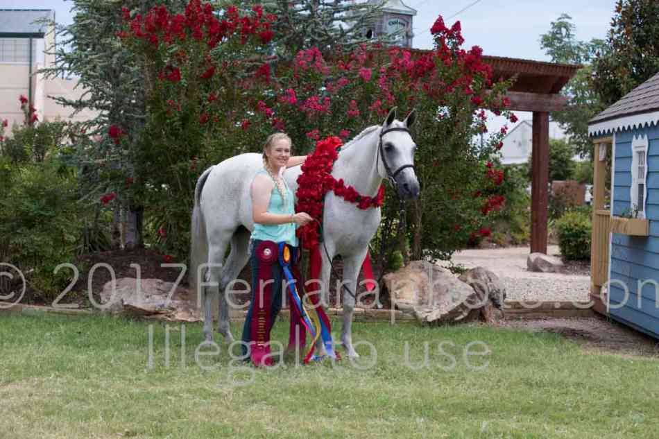 Proof Number 17YN_3219