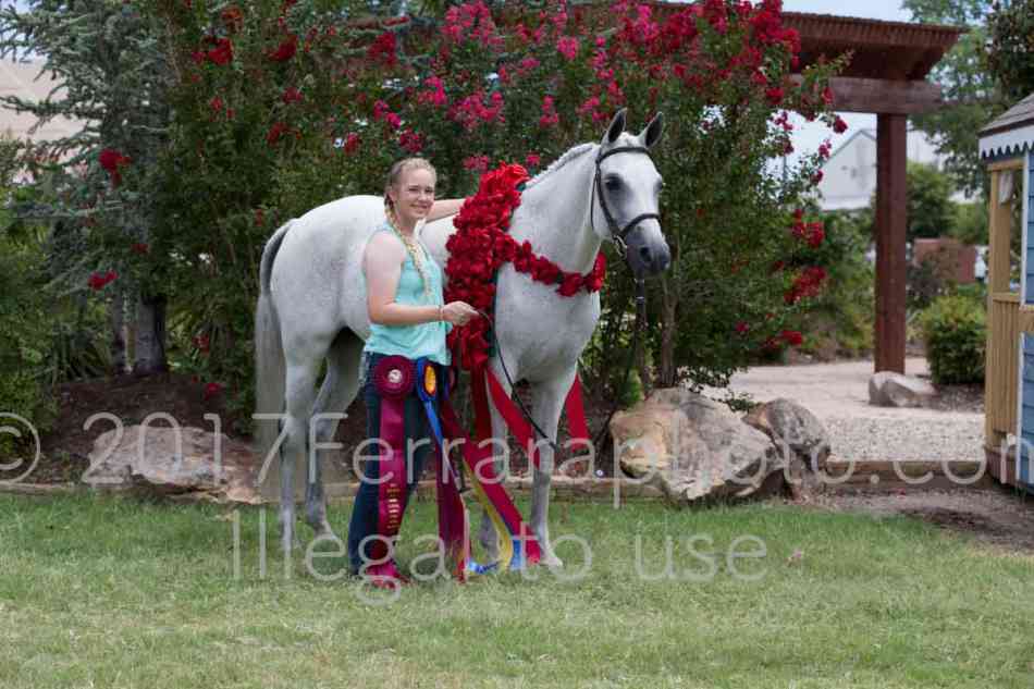 Proof Number 17YN_3220