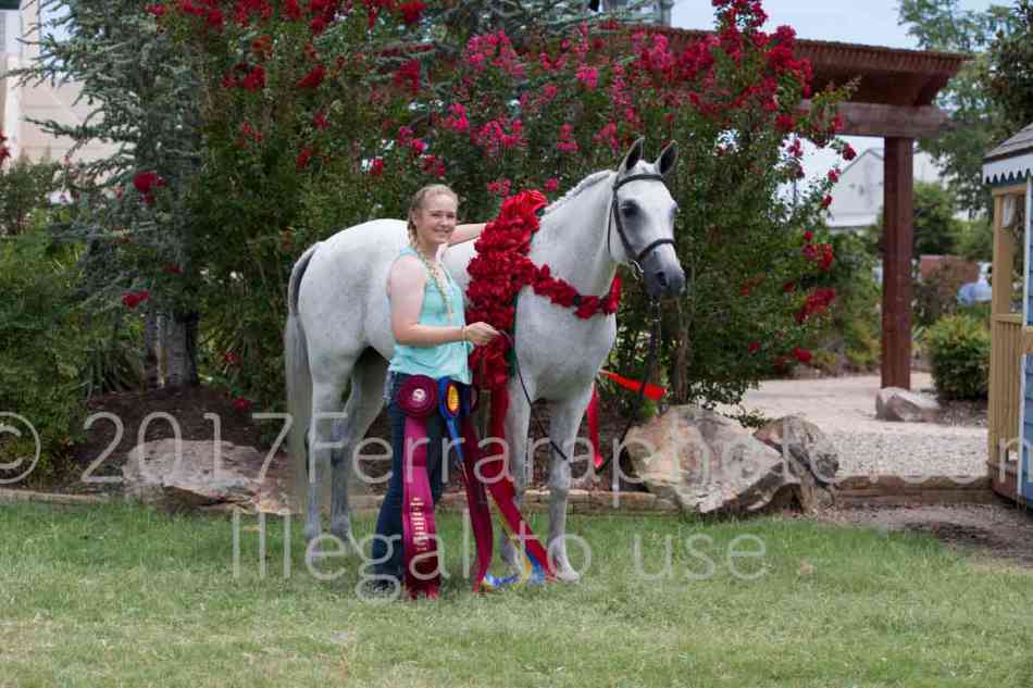 Proof Number 17YN_3222