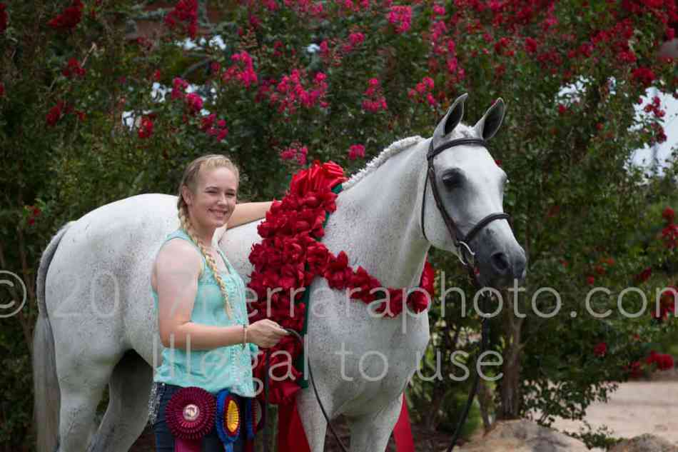 Proof Number 17YN_3225