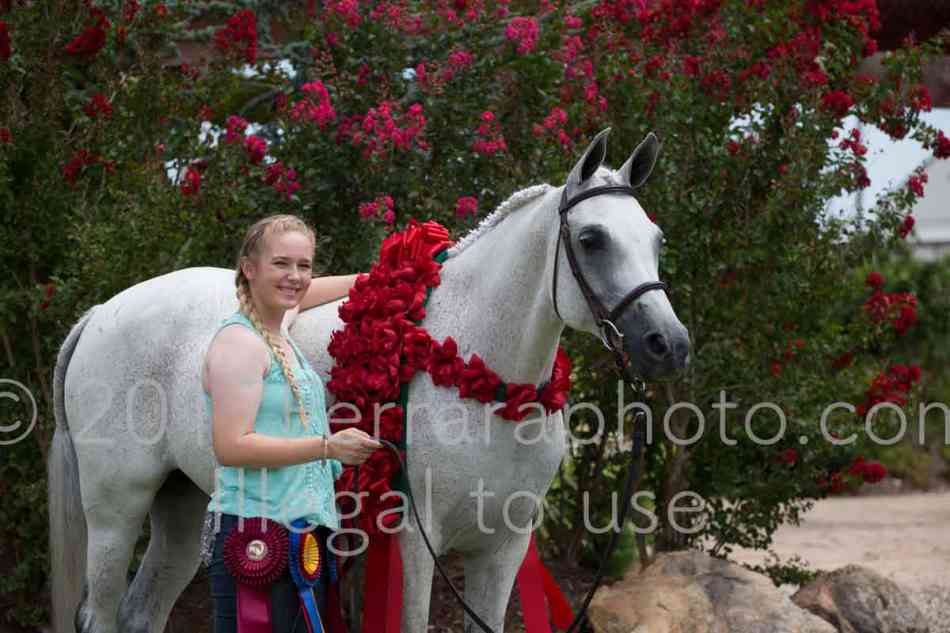 Proof Number 17YN_3226