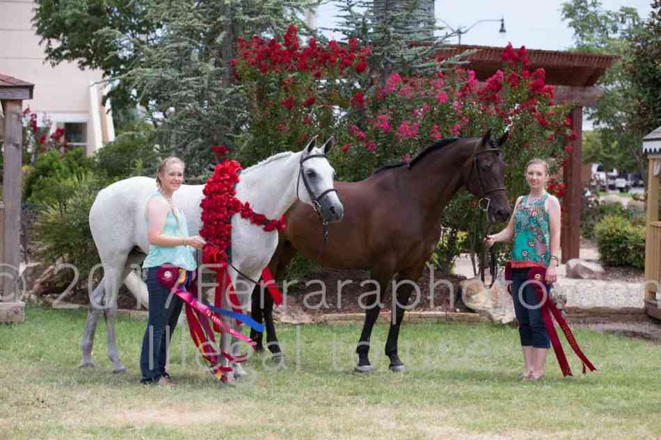 Proof Number 17YN_3234