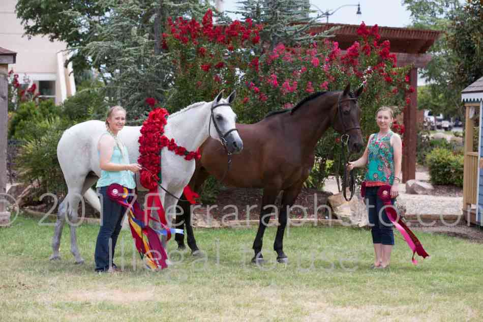 Proof Number 17YN_3235