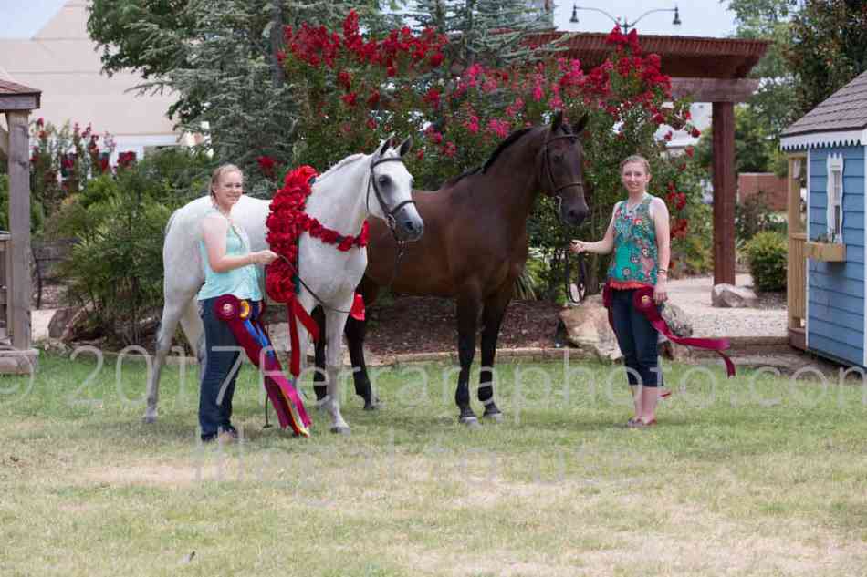 Proof Number 17YN_3245