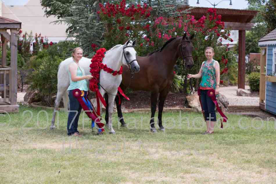 Proof Number 17YN_3246