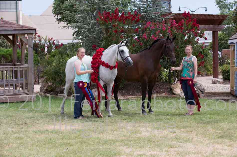 Proof Number 17YN_3247