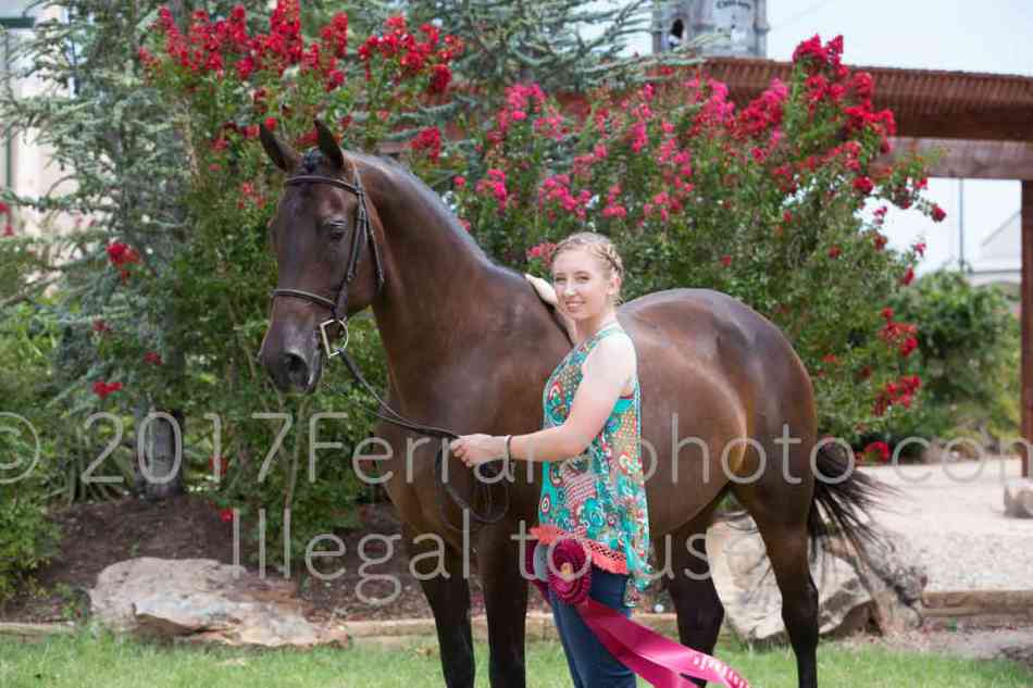 Proof Number 17YN_3255