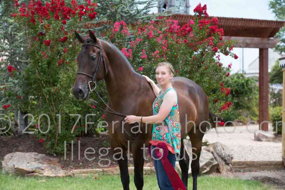 Proof Number 17YN_3262