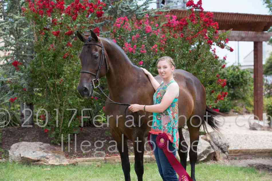 Proof Number 17YN_3264