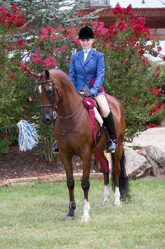 Proof Number 17YN_3293