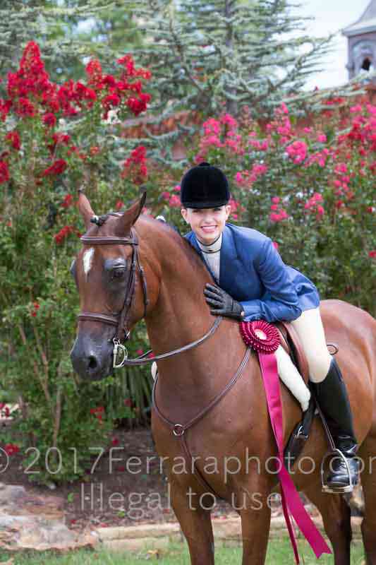 Proof Number 17YN_3310