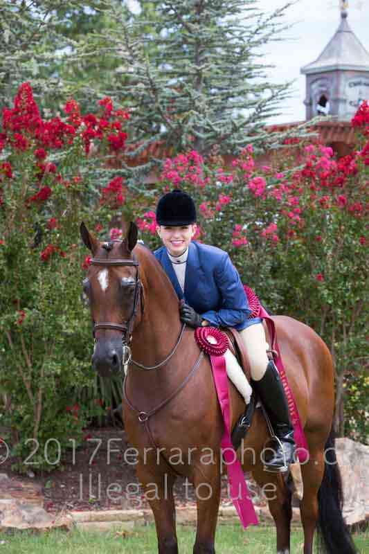 Proof Number 17YN_3312