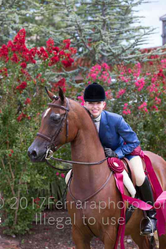 Proof Number 17YN_3337