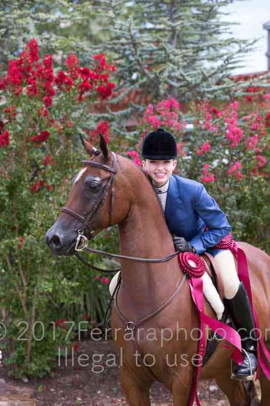 Proof Number 17YN_3338