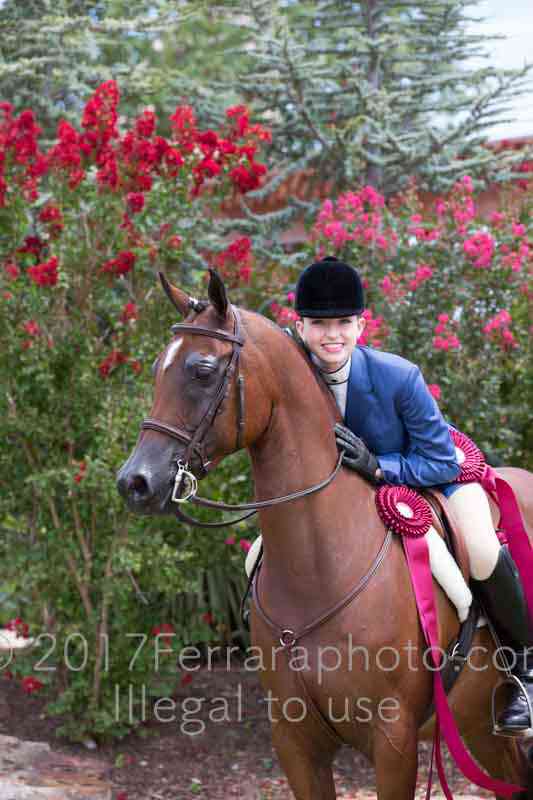 Proof Number 17YN_3343